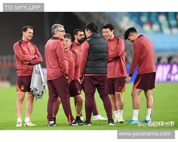 中国足球球星数量排行榜揭晓各大俱乐部及国家队表现对比分析