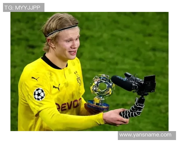 足球球星272:领跑赛场的荣耀与挑战,全新传奇的诞生之路